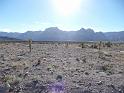 Desert view